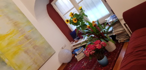 20190222_082011